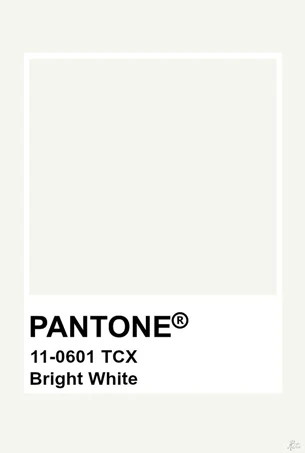 Pantone Bright White