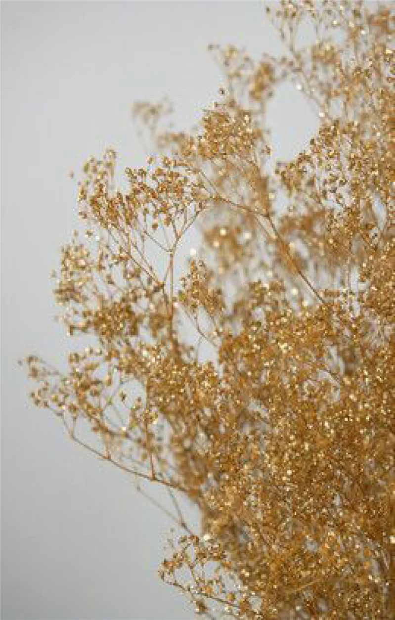 Dourado
